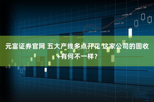 元富证券官网 五大产线多点开花 这家公司的固收+有何不一样？