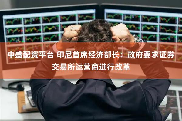 中盛配资平台 印尼首席经济部长：政府要求证券交易所运营商进行改革