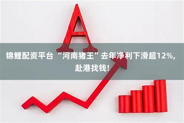 锦鲤配资平台 “河南猪王”去年净利下滑超12%, 赴港找钱!