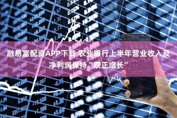 融易富配资APP下载 农业银行上半年营业收入及净利润保持“双正增长”