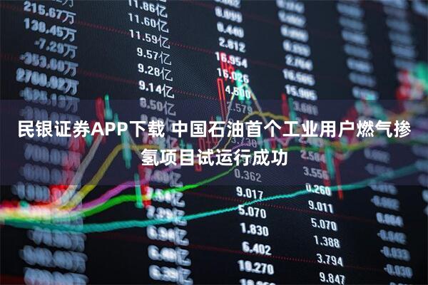 民银证券APP下载 中国石油首个工业用户燃气掺氢项目试运行成功